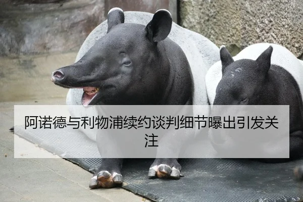 阿诺德与利物浦续约谈判细节曝出引发关注